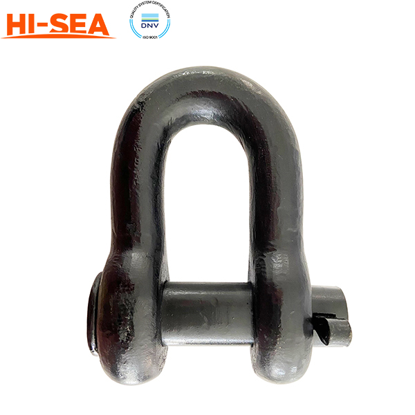 Forelock Shackle